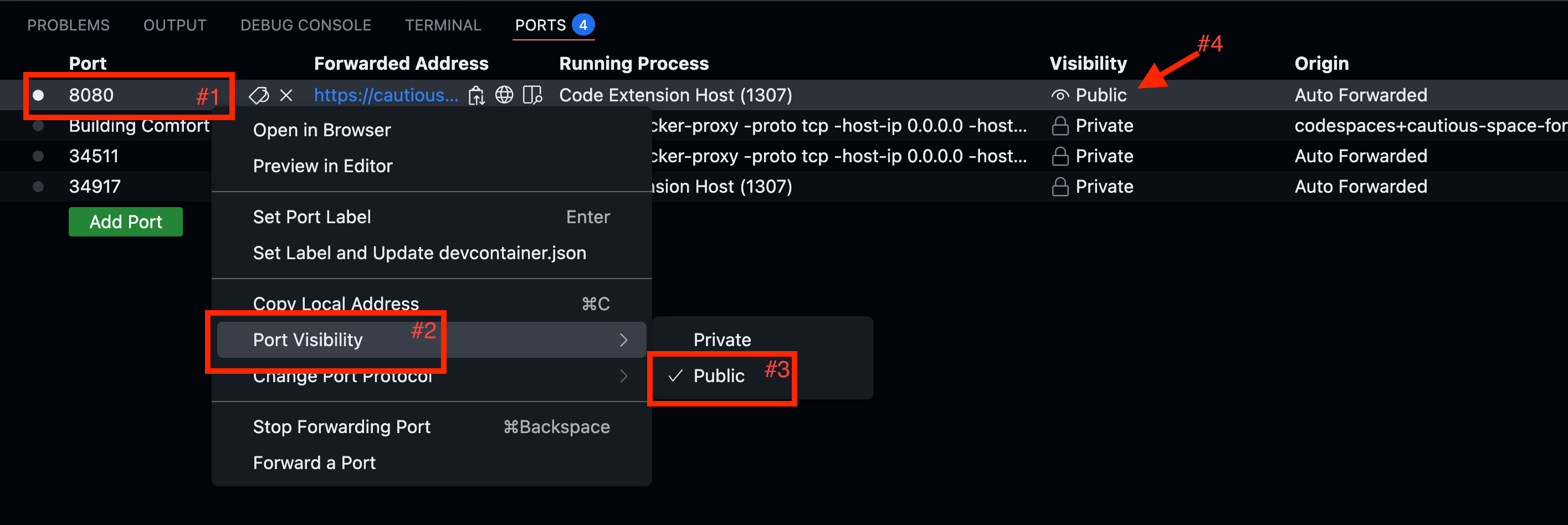 VS Code Ports tab showing how to make port 8080 public